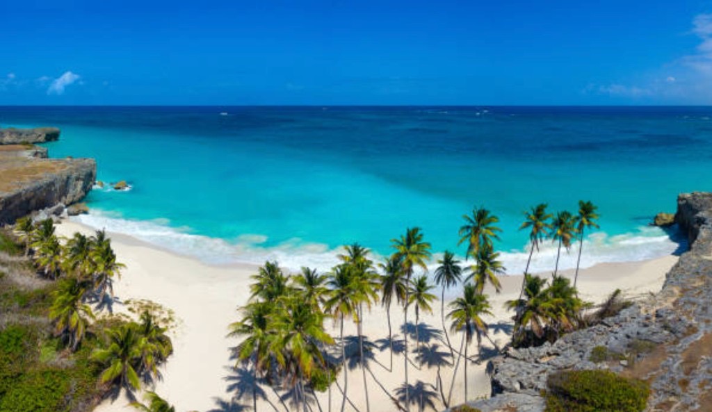 Aerial view of a secluded white sand Barbados beach with turquoise Caribbean water, palm trees, and rocky cliffs on a Barbados Beach Day shore excursion from Bridgetown cruise port.